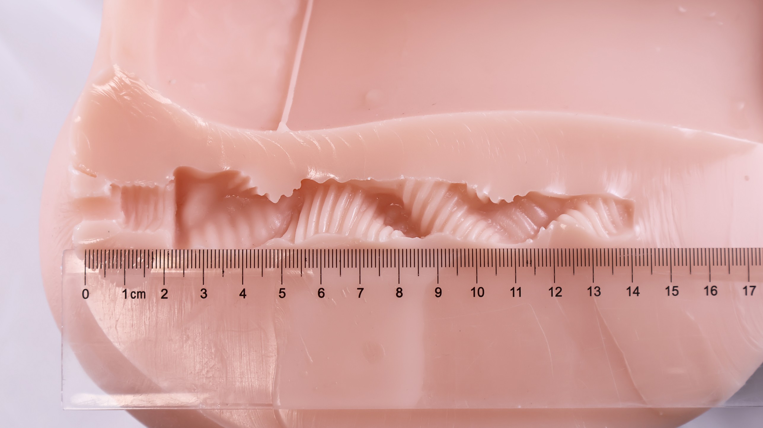 GOSE——“美臀殿堂”评测!即使是“殿堂”级的换穴炮架臀,你会真的选择使用吗?(上)