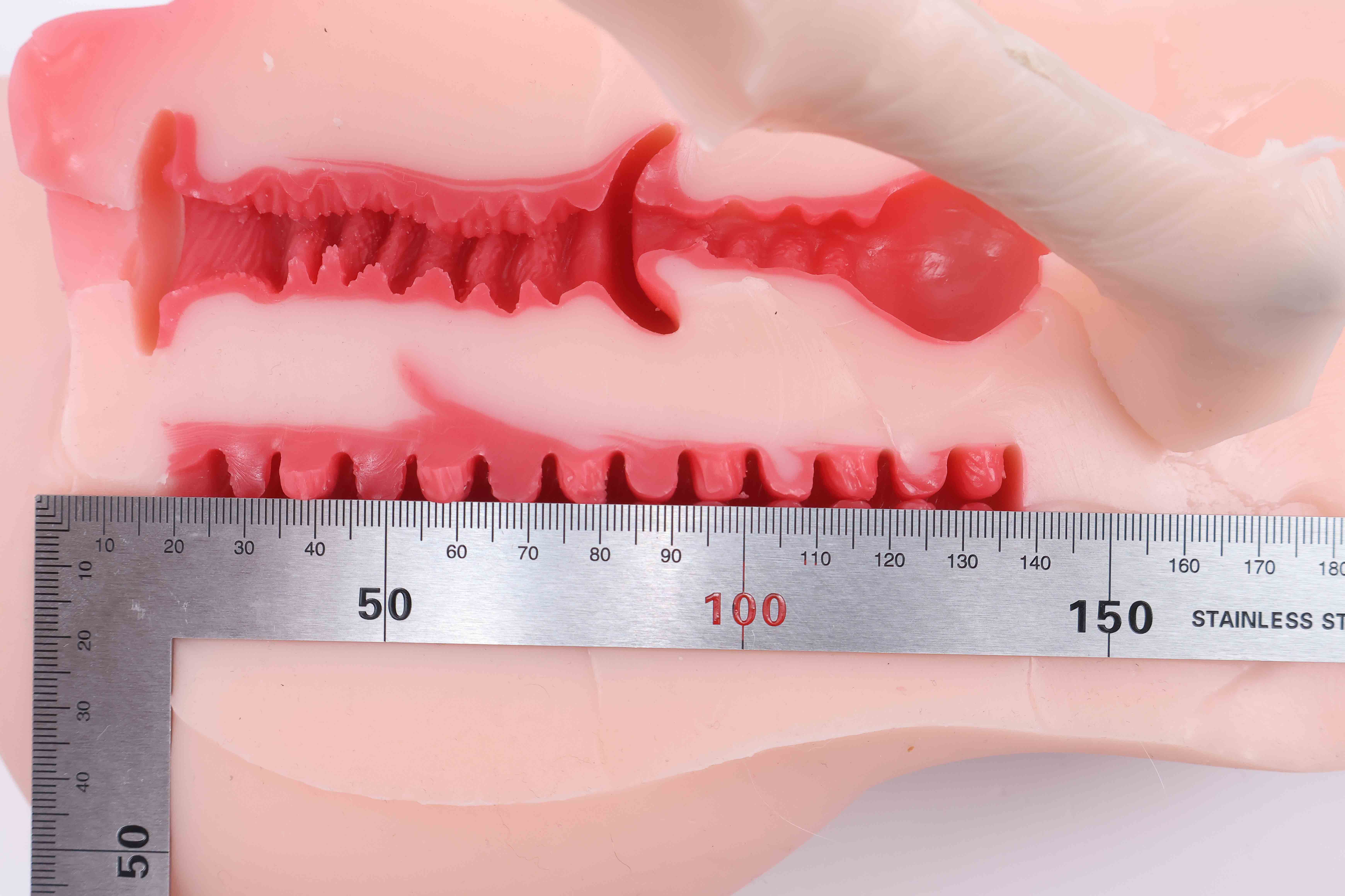 GOSE——“懒小鬼”评测!将各个方面的优化融合成了一体,各方面都相当完善的腿模