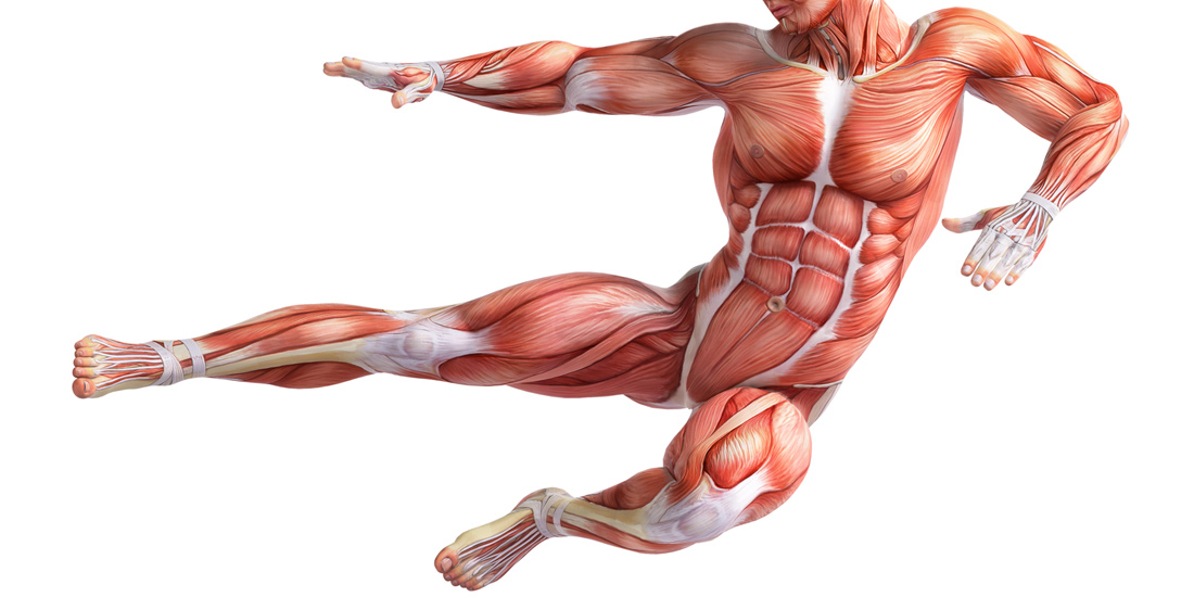 GOSE——“懒小鬼”评测!将各个方面的优化融合成了一体,各方面都相当完善的腿模