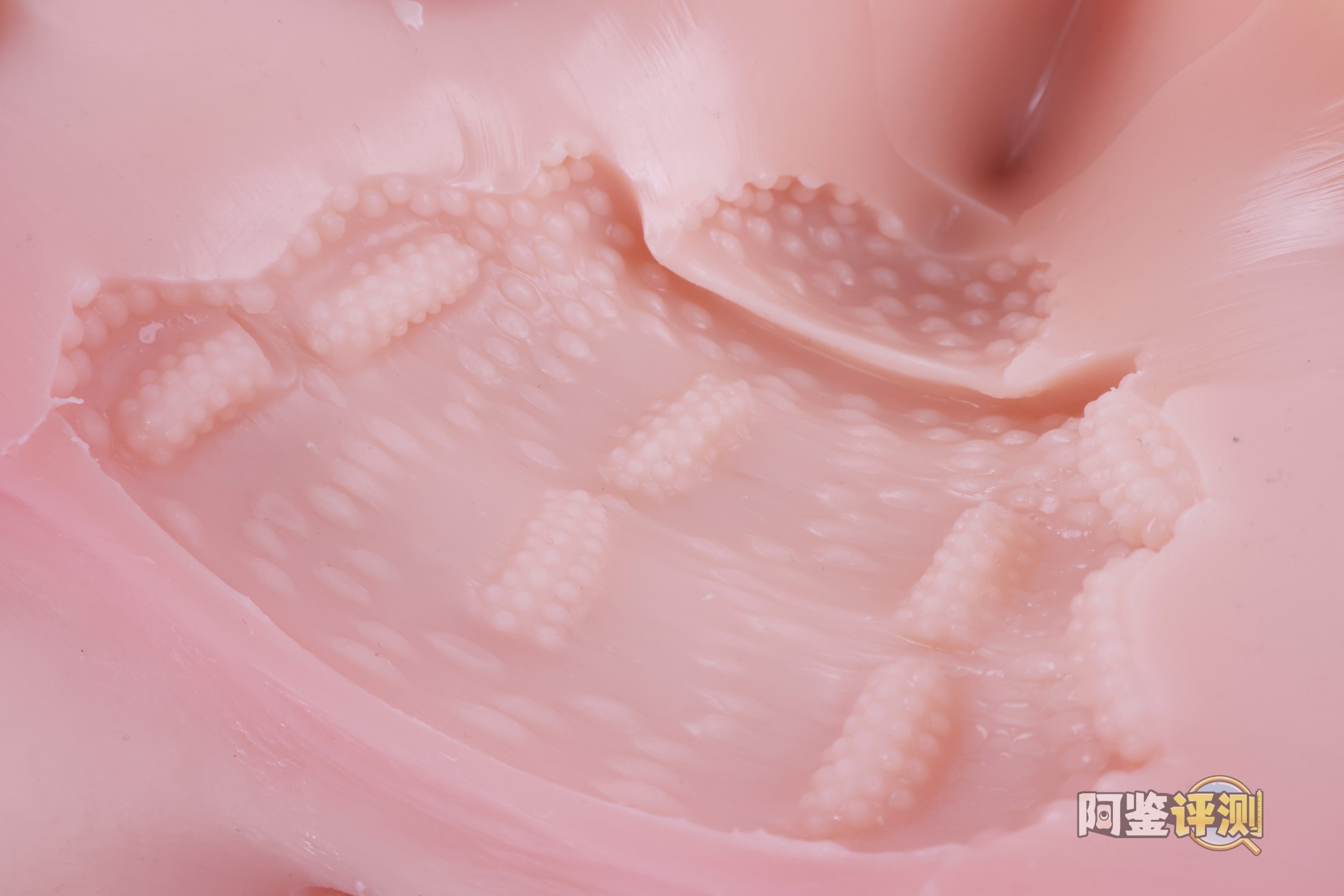 对子哈特——“唯樱璃”评测！再次更换材料的6kg性价比款臀模，非常“平均”的常规PP