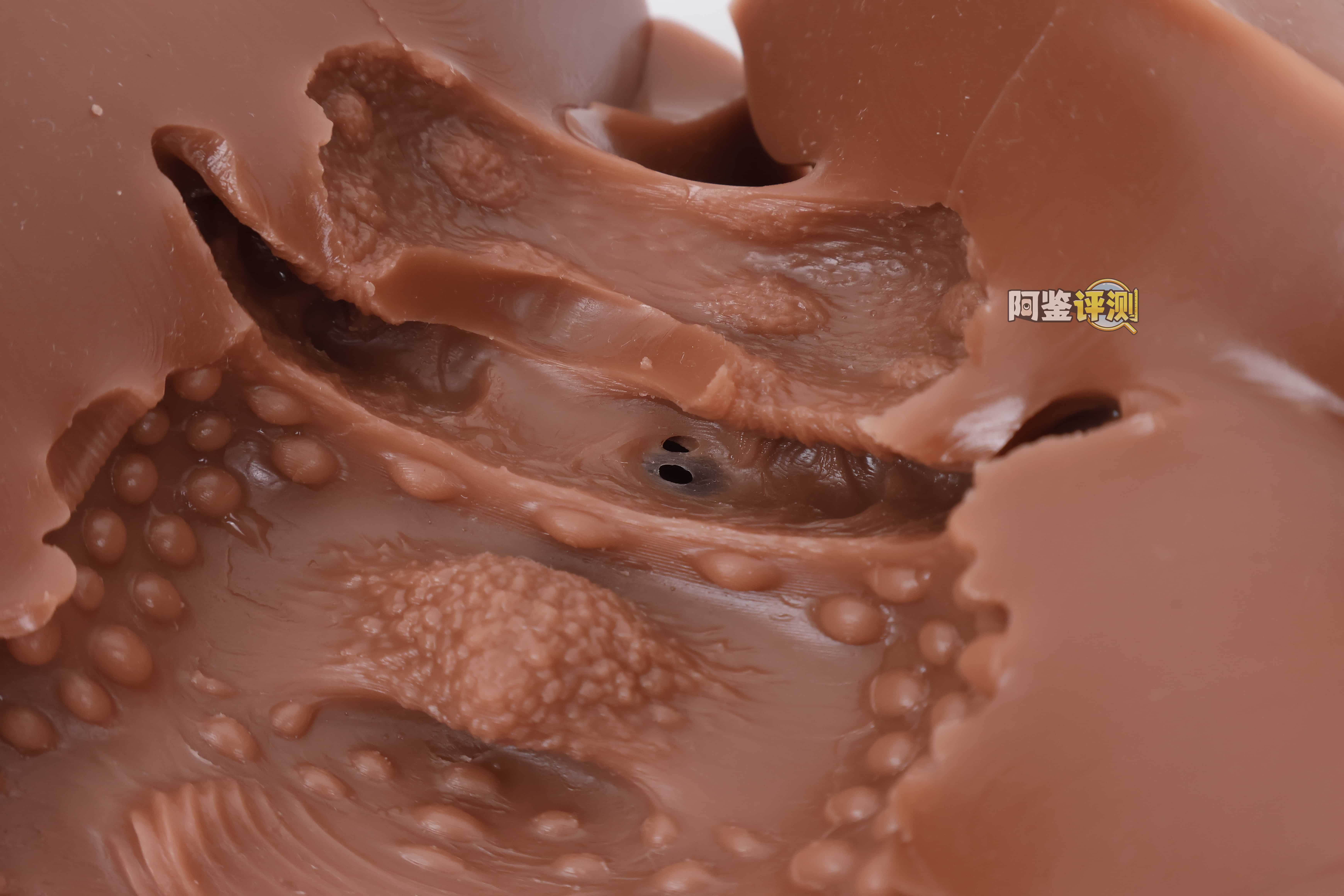 muni——“埃及艳后”评测！一字马开腿型的黑皮小臀模，因为双通道太接近导致末端出现了开裂